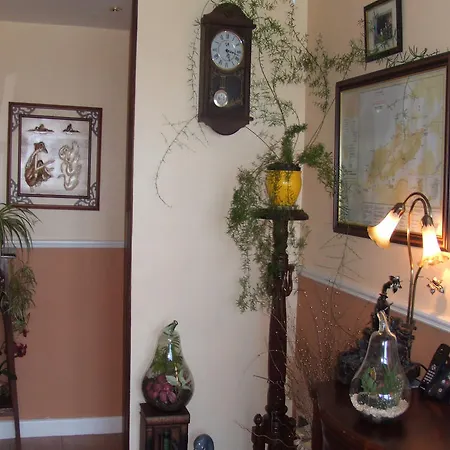 Bed & Breakfast Spring Acre